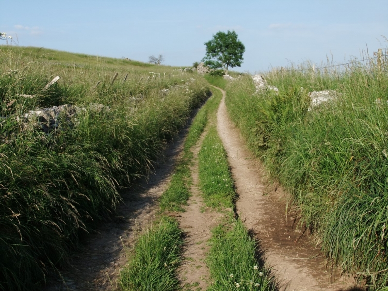 Hartington walk