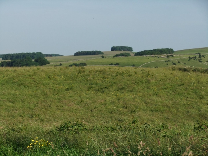 Countryside view near Hartington