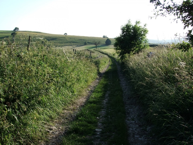 Hartington Walk