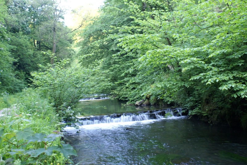 Beresford Dale
