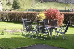 Birch Cottage garden