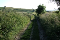 Hartington Walk