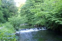 Beresford Dale